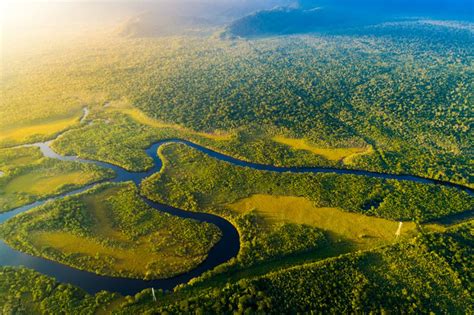 amazonas fluss voller wunder und rekorde geo