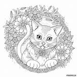 Coloring Pages Cat Choose Board Floral sketch template