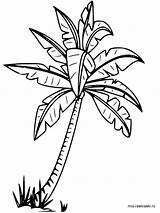 Palm Tree Drawing Coloring Leaves Outline Getdrawings Kids Beach Pages Printable Apple Adult Line Colouring Leaf Clipartmag sketch template