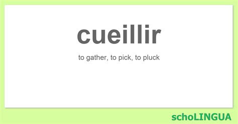 cueillir conjugation   verb cueillir scholingua