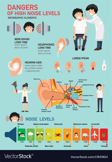 dangers  high noise levels infographic vector image