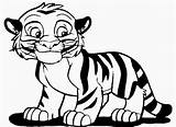Coloring Cute Pages Clipart Animals Tiger Library Kids sketch template