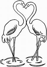 Flamingos sketch template