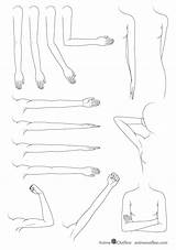 Anime Arms Draw Drawing Arm Manga Examples Tutorial Drawings Animeoutline Paintingvalley sketch template