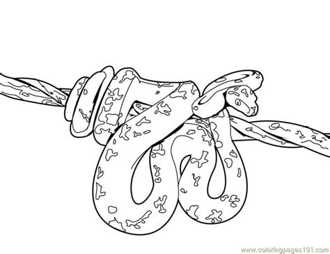 printable snake coloring pages everfreecoloringcom