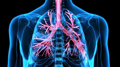 asthma bronchiale ursachen symptome und therapie naturheilkunde