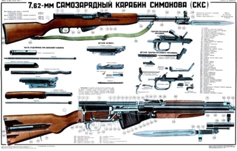 sks  simonov carbine rifle poster