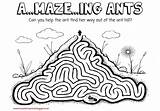 Ants Ant Maze Unit Study School sketch template