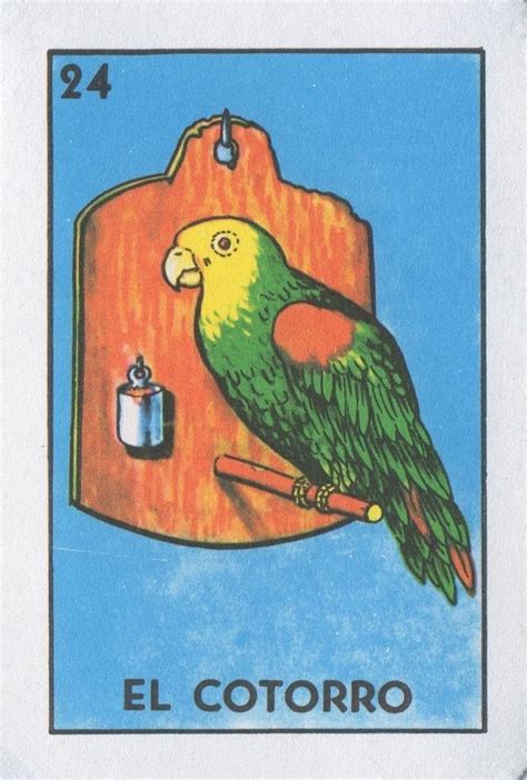 El Cotorro The Parrot Lone Quixote Loteria Cards