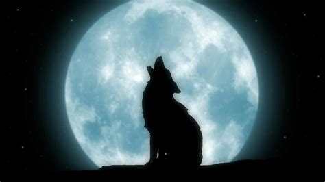 howl   moon beautiful moon howl   moon moonlight