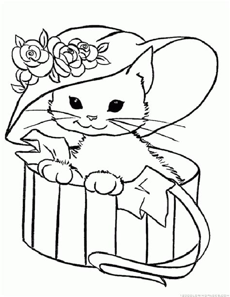 cat colouring  sheets