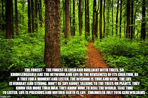 How To Make You So Precious Meme Forest Path Imgflip Wisdom Meme Tree