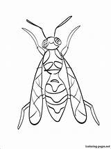Colorear Wasp Avispas Designlooter sketch template