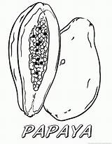 Papaya Coloring Pages Drawing Popular sketch template