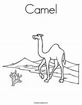 Camel Coloring Worksheet Desert Pages Sheet Arabian Drawing Kids Tall Am Printable Print Twistynoodle Handwriting Caravan Built California Usa Outline sketch template