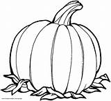 Pumpkin Outline Printable Coloring Pages Clipartmag sketch template
