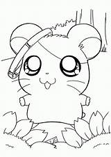 Hamster Coloring Pages Print sketch template