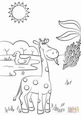 Giraffe Banana Eating Coloring Pages Baby Printable Drawing sketch template