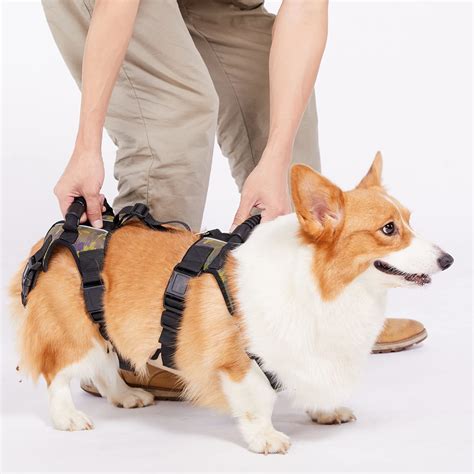 buy coodeo dog lift harness full body support recovery sling pet rear leg support