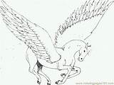 Coloring Pages Pegasus Library Codes Insertion Pegacorn Popular sketch template