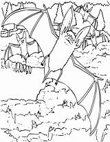 Fledermaus Ausmalbilder Eared Library Printable Bats Vampire sketch template