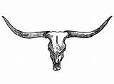 Skull Clipart Cow Silhouette Longhorn Drawing Texas Library sketch template