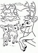 Rudolph Coloriage Reindeer Rudolf Nosed Renne Rentier Nez Rouge Colorat Kolorowanki Renifer Babbo Colorir Desenhos Malvorlagen Comet Nase Roten Ausdrucken sketch template