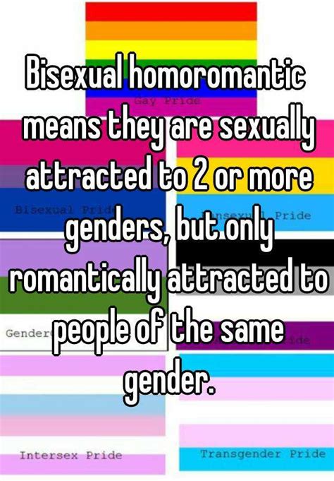 Bisexual Homoromantic Means They Are Sexually Attracted To 2 Or More