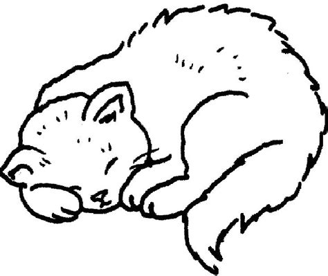 sleeping cat  drawing    clipartmag