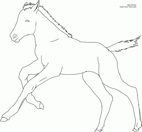horse  foal coloring pages realistic sketch colori vrogueco