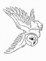 Hedwig Slytherin Snowy Ausmalen Getdrawings Printable Ausmalbilder Paradijs Buch sketch template