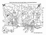 Hidden Rainforest Amazon Coloring Printable Find Pages Kids Objects Puzzles Object Printables Drawing Layers Easy Ll Halloween Search Color Worksheets sketch template