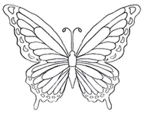 butterfly coloring page butterfly drawing butterfly art