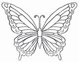 Butterfly Coloring Pages Color Drawing Wings Rainbow Printable Print Butterflies Drawings Clipart Kids Disegni Colouring Pattern Wing Fancy Firefly Fire sketch template