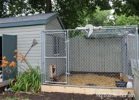 loving  chickens dog kennel outdoor indoor dog