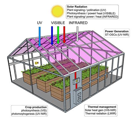 semi transparent solar cells  power greenhouses  stunting plant growth cloud