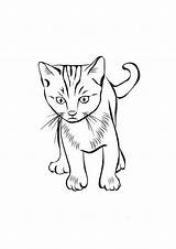 Coloring Cat Pages Kolorowanki Zwierzęta Choose Board sketch template