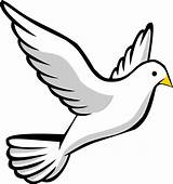 Dove Peace Drawing Easy Clipart Getdrawings sketch template