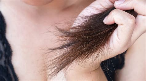 Split Ends Why Does Our Hair Split – Slmd Skincare By Sandra Lee M D