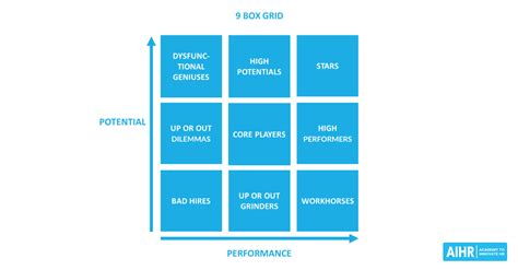 box grid  practitioners guide aihr