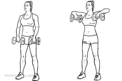 Upright Dumbbell Row Illustrated Exercise Guide Workoutlabs