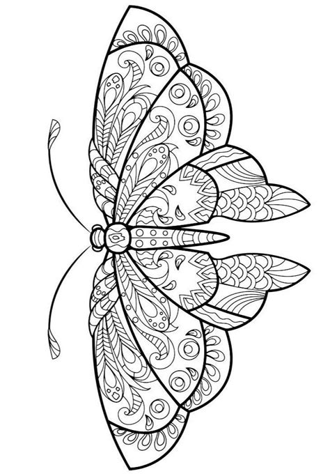 pin  christina sawyer  insect coloring pages insect coloring