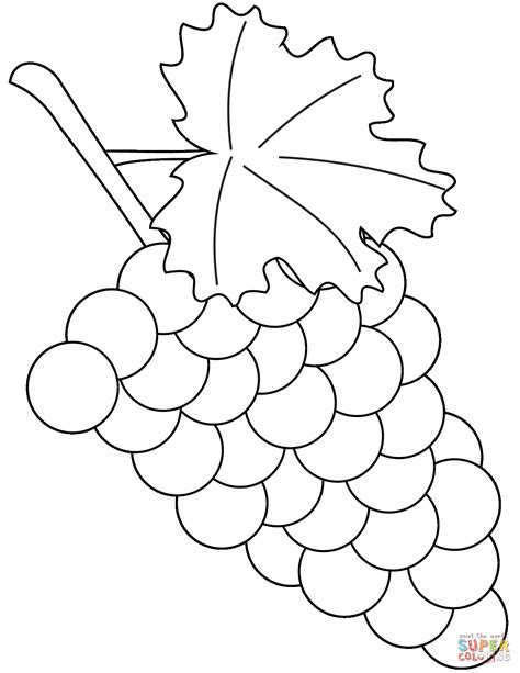 grapes coloring page  printable coloring pages