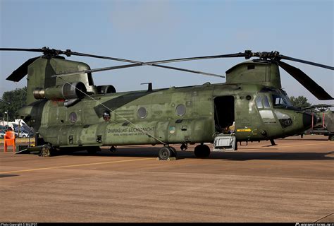 royal netherlands air force boeing ch  chinook photo  brendon attard id