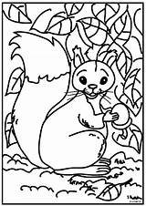 Squirrel Eekhoorn Coloring Pages Kleurplaat Kleurplaten Squirrels Animated Fun Kids Do sketch template