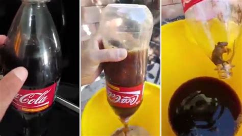 disgusting moment man tips coca cola bottle upside down to