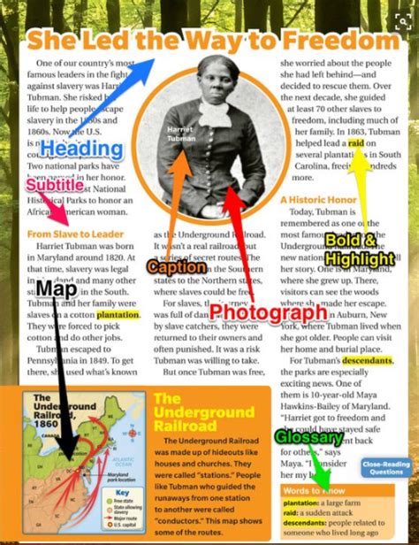 informational article examples  text features   ps