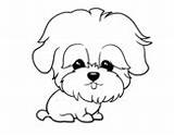 Coloring Maltese Dog Pages Colorear Dibujos Para Sausage Maltipoo Color Maltes Perro Con Dibujo Animales Coloringcrew Perros Animals Pintar Dogs sketch template