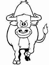 Bull Toros Toro Vacas sketch template