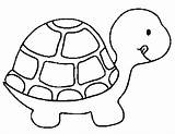 Coloring Turtle Pages Kids sketch template